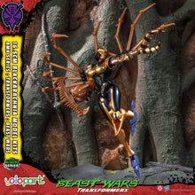 將圖片載入圖庫檢視器 PRE - ORDER: TRANSFORMERS BEAST WARS AMK Series Blackarachnia Model Kit